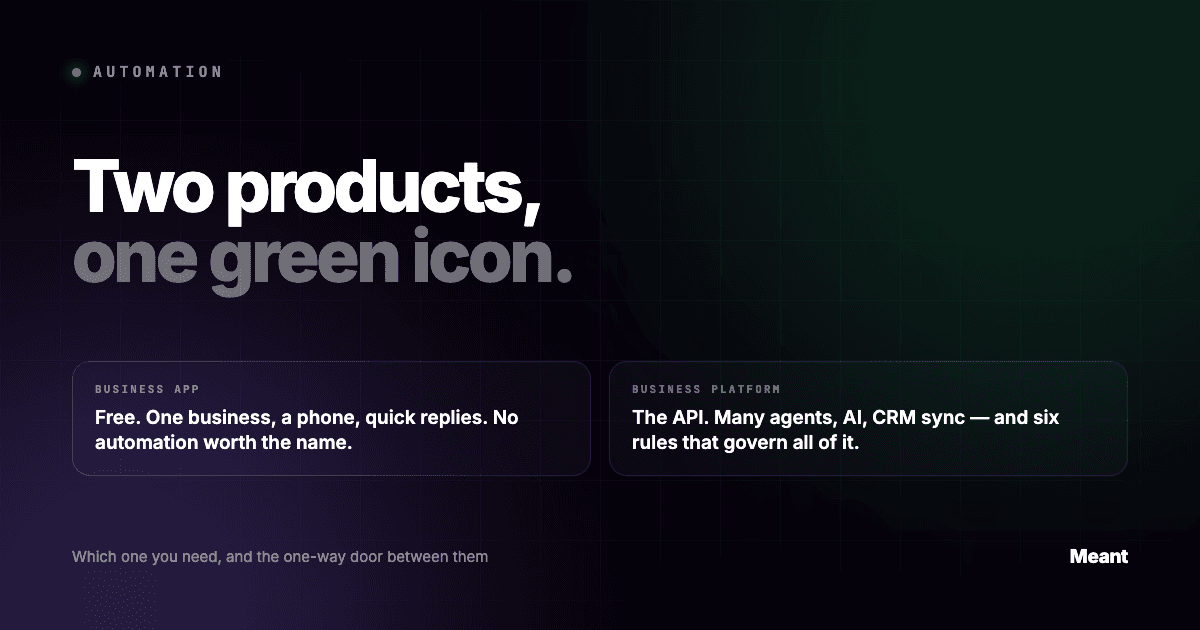 WhatsApp Business app or the API: which one you actually need